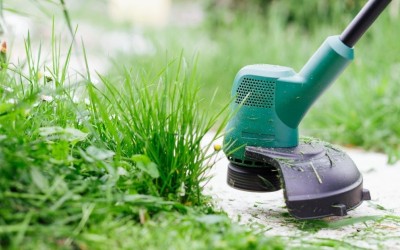 Как да изберем тример за косене на трева? – 1 част Как да изберем тример за косене на трева? – 1 част