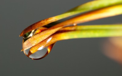 Епоксидно лепило – свойства, видове и особености при използването му