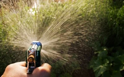 Как да изберете пистолет за поливане, накрайници и разпръсквачи за маркуч?