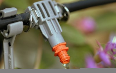 Капково напояване – как да изберете?