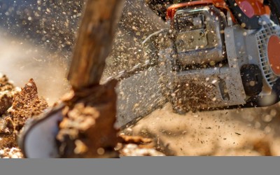 Верижни триони – как да изберете електрически или бензинов верижен трион?