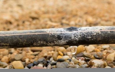 Капково напояване – от пластмасови бутилки до автоматизирана оранжерия – 2 част