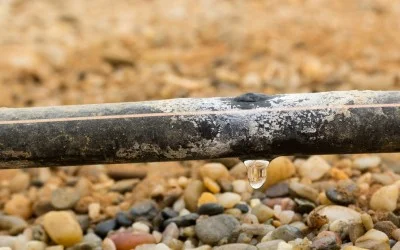 Капково напояване – от пластмасови бутилки до автоматизирана оранжерия – 2 част