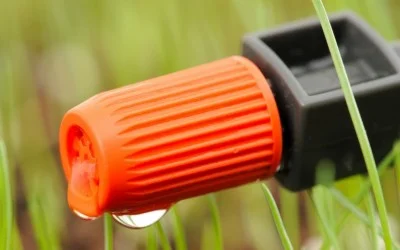 Капково напояване – от пластмасови бутилки до автоматизирана оранжерия – 4 част