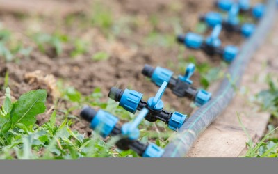 Капково напояване – от пластмасови бутилки до автоматизирана оранжерия – 5 част