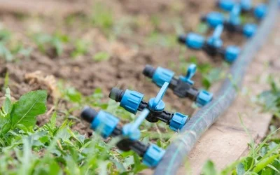 Капково напояване – от пластмасови бутилки до автоматизирана оранжерия – 5 част