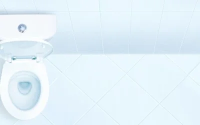 Как да изберете тоалетна чиния? – 1 част