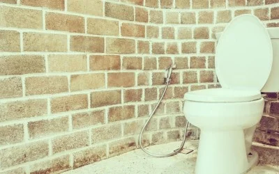 Как да изберете тоалетна чиния? – 2 част