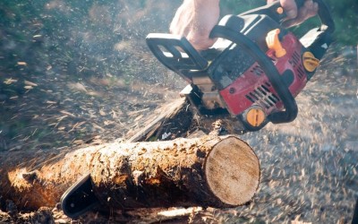 По какво се различават електрическата и бензиновата резачки? По какво се различават електрическата и бензиновата резачки?