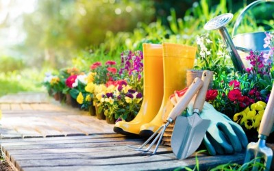 Как да изберете добър градински инструмент?