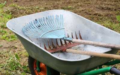 Как да изберете градинско гребло?