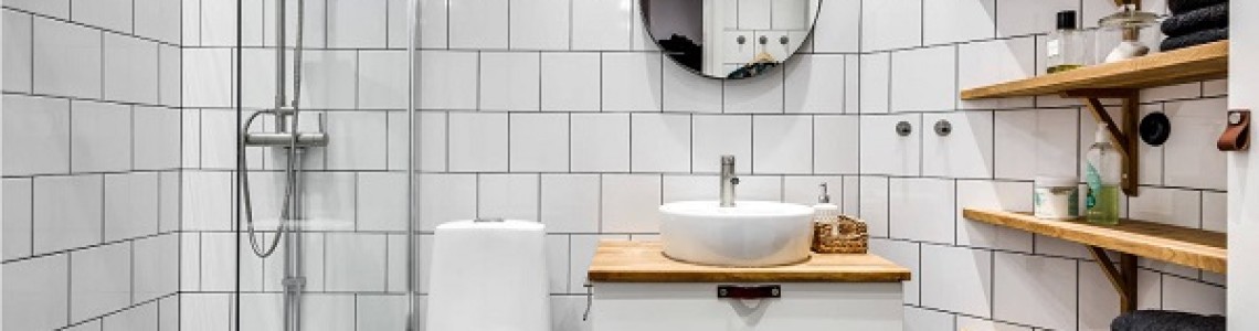 Баня и тоалетна: видове и идеи за дизайн – 3 част