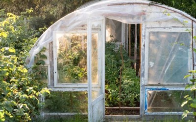 Идеалната оранжерия – каква трябва да бъде? – 1 част