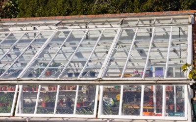 Парници и оранжерии – каква е разликата?