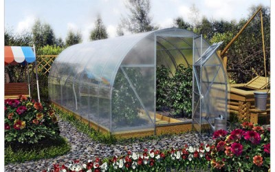 Плодове и зеленчуци подходящи за оранжерия