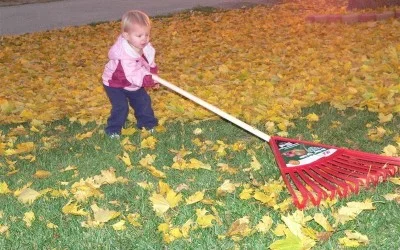 Почистване на есенни листа