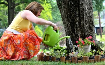 Поливането- главен фактор за красива растителност