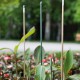 Гумирано градинско колче за привързване на растения 900мм