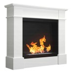 Биокамина Pula